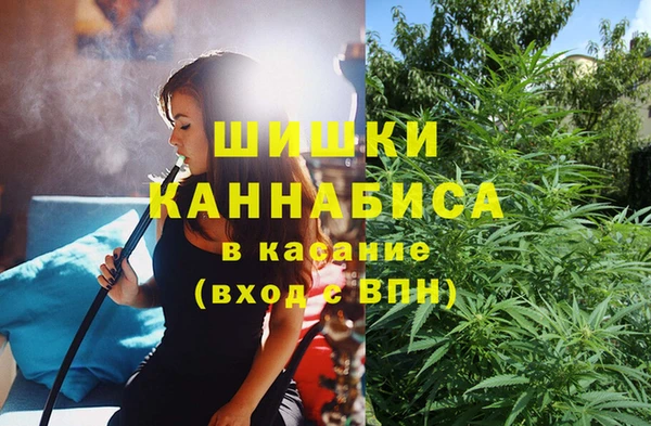 гашик Михайлов