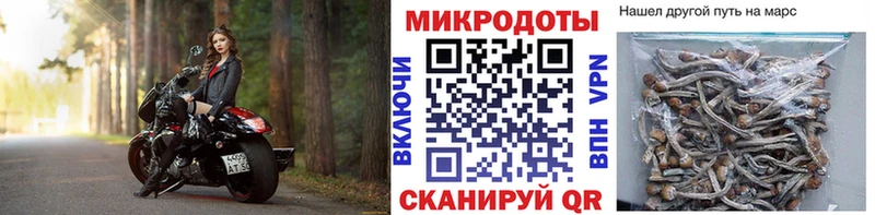 МЕГА рабочий сайт  Ельня  мориарти Telegram  Галлюциногенные грибы мицелий 